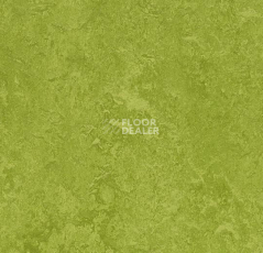Линолеум Forbo Marmoleum Decibel on Order 324735 green фото 1 | FLOORDEALER